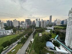 Irwell Hill Residences (D9), Apartment #455717411